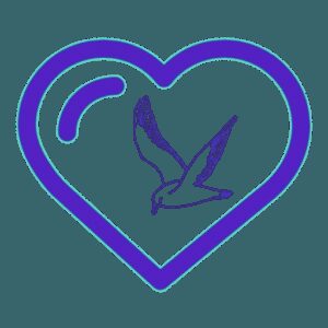 نصب فیلتر شکن قوی Love Birds Vpn