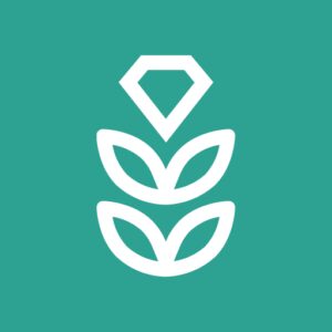 دانلود رایگان VPN Rice for Android TV
