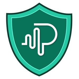وی‌پی‌ان پرسرعت وی پی ان بدون قطعی Pulse VPN