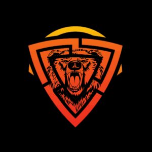 دانلود رایگان bear VPN Fast & Secure