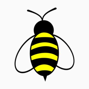 com.beetunnel.lite دانلود فیلترشکن قوی و پرسرعت Bee Tunnel Lite