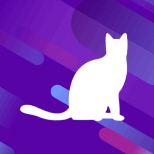 نصب 蓝猫VPN –  3秒极速连接的VPN