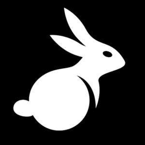 لینک مستقیم BunnyX VPN