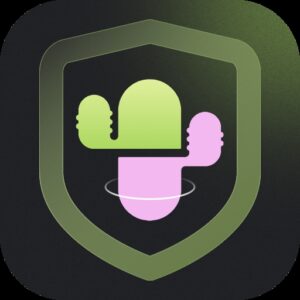وی‌پی‌ان Cactus VPN