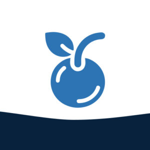 وی‌پی‌ان پرسرعت cherry VPN