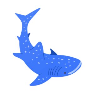 نصب فیلتر شکن قوی Shark VPN – Premium Protection