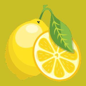 وی‌پی‌ان پرسرعت LimuVPN