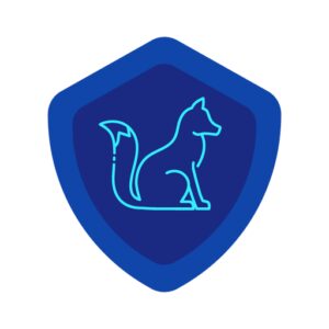 com.go1vpn.aco.vpnc.maui دانلود مستقیم VPN-C