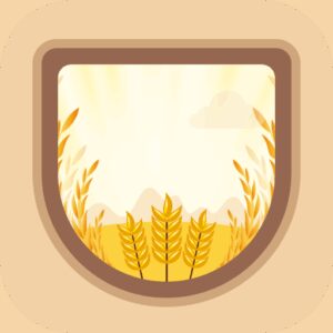دانلود Grain VPN