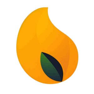 نصب فیلتر شکن قوی Mango VPN