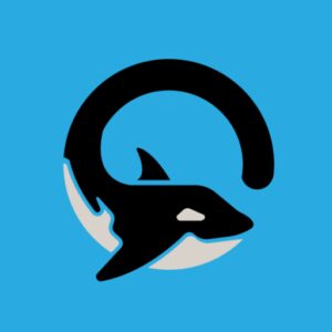 لینک مستقیم Orca VPN
