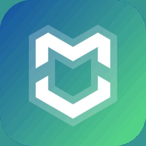 لینک مستقیم MegaVPN – Secure Fast VPN