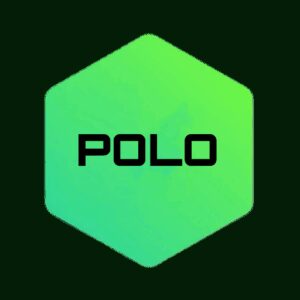 دانلود Polo VPN – Fast And Unlimited