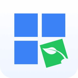 نصب RapidSeedbox VPN