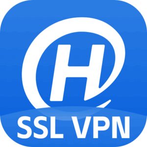 com.secureconnect.vpnedition نصب Hillstone Secure Client