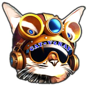 وی‌پی‌ان پرسرعت CAT Injector