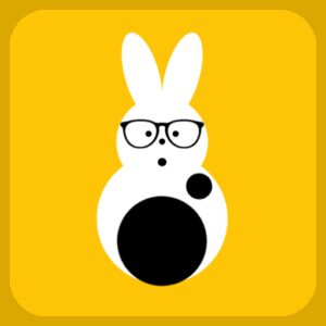 dev.rlb.bestsoft.rabbittunnel دانلود برنامه رایگان RabbitNet Plus – V2ray/UDP/SSH