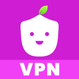 لینک مستقیم Berry VPN: Proxy Tools Servers