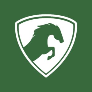 وی‌پی‌ان Kayo VPN
