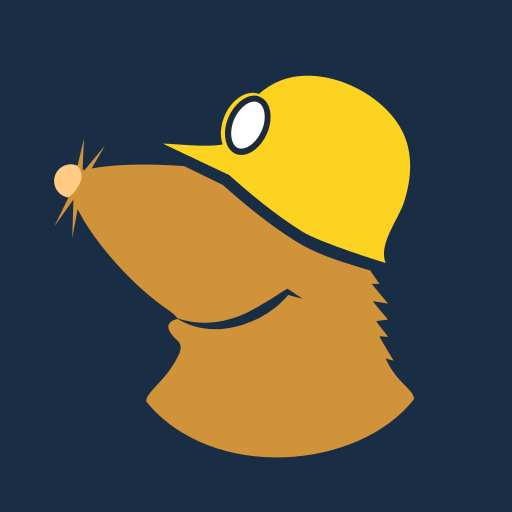 وی‌پی‌ان پرسرعت Mullvad VPN