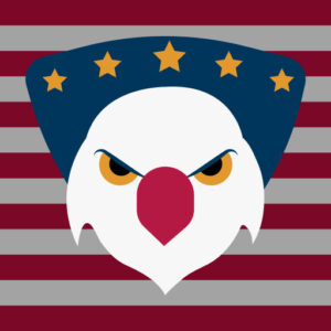 فیلترشکن VPN US using Free VPN .org™