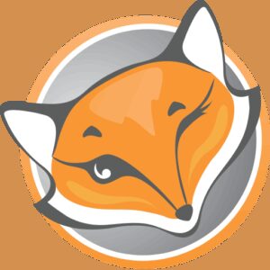 دانلود فیلترشکن قوی و پرسرعت FoxyProxy VPN