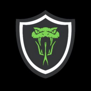 دانلود رایگان VIPER VPN