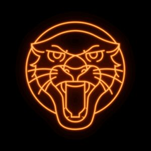دانلود رایگان Jaguar VPN – Fast & Secure